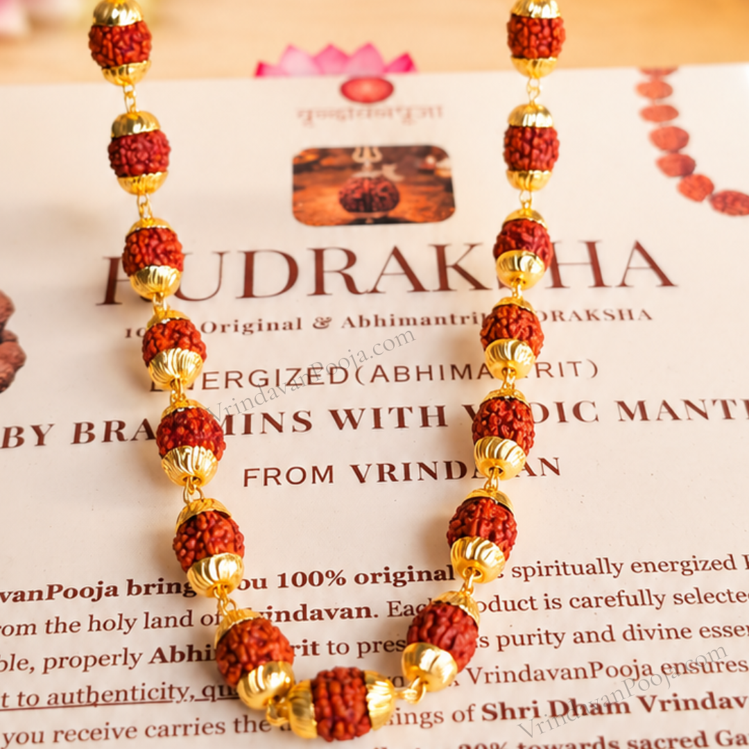 Sacred Rudraksha Mala Collection