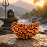 1 Mukhi Abhimantrit Rudraksha