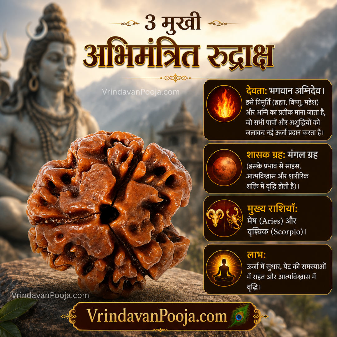3 Mukhi Abhimantrit Rudraksha