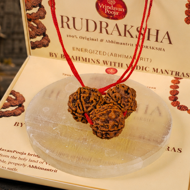 Rudraksha Kavach - Abhimantrit