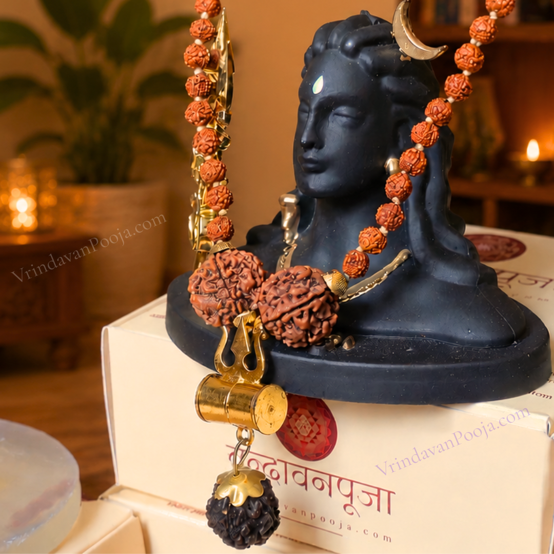 Shiv Trishool Pendant with Rudraksha Chain