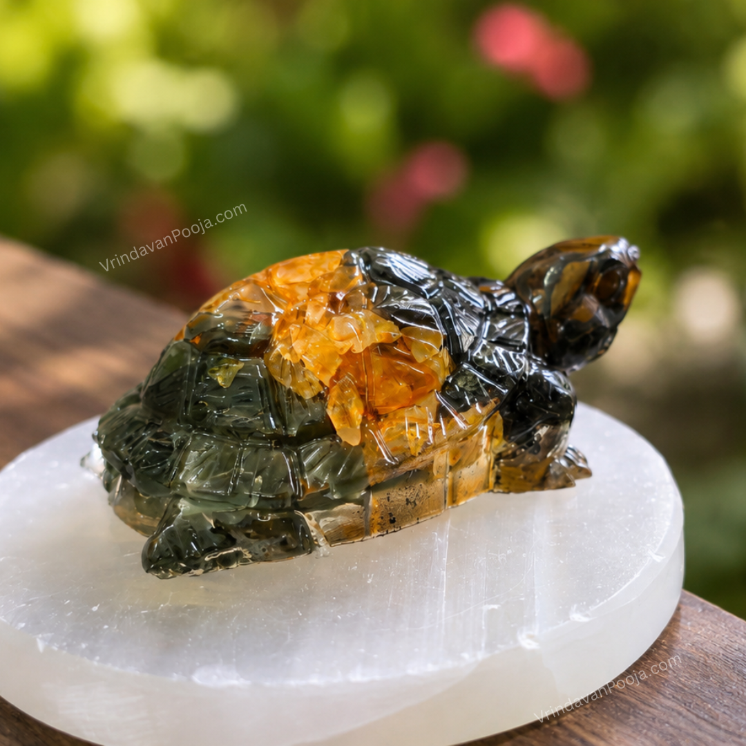 Pyrite Vastu Dhan Yog Tortoise