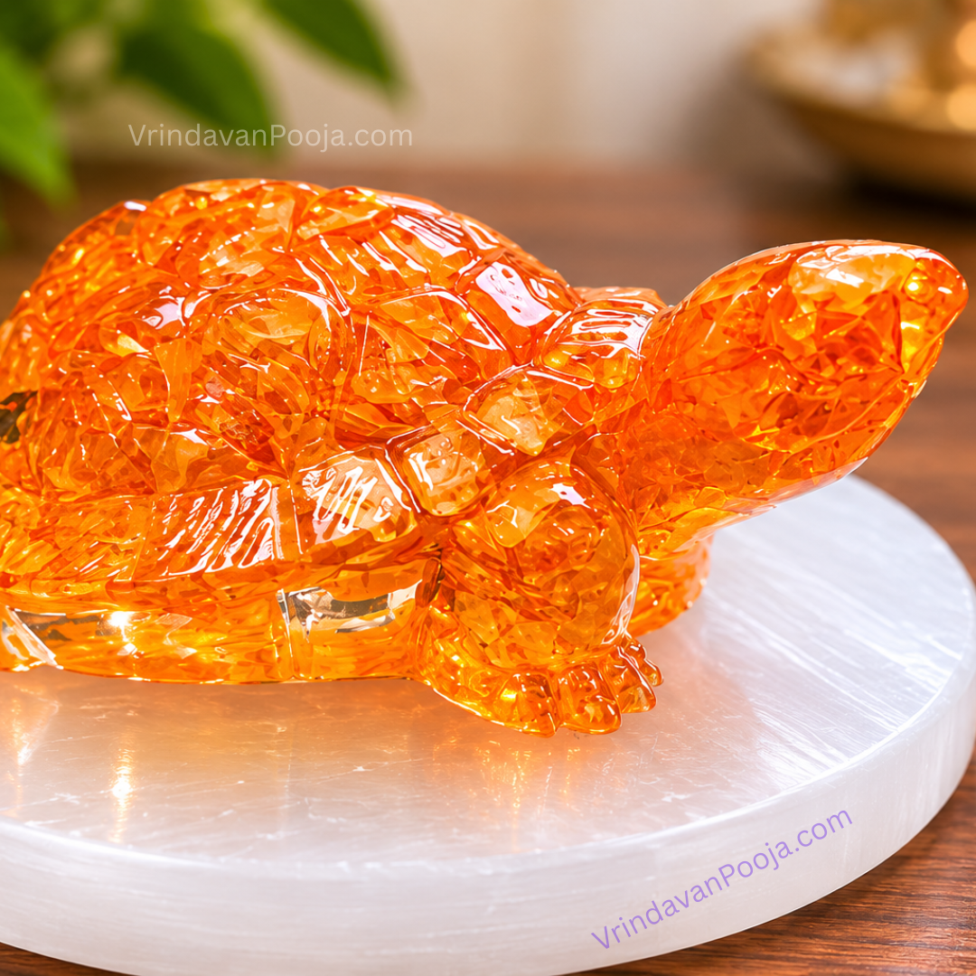 Vastu Dhan Yog Tortoise