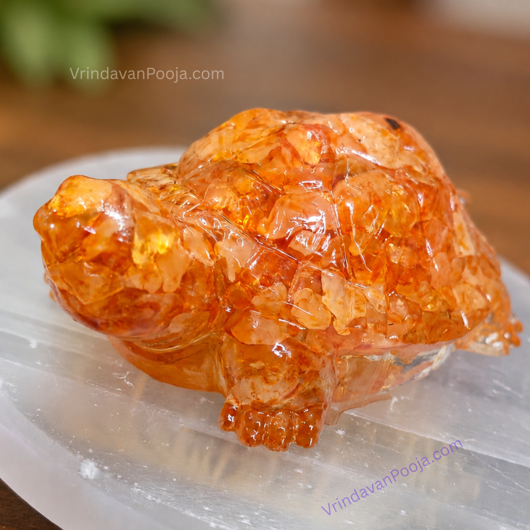 Vastu Dhan Yog Tortoise