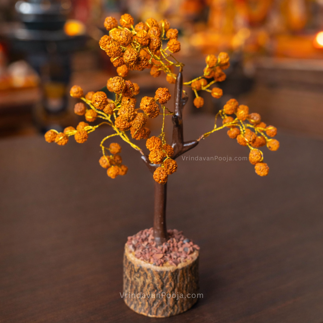 Rudraksha Tree (Abhimantrit)