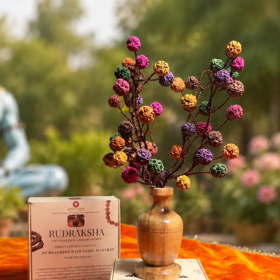 Rudraksha Tree | 54 Pcs of Natural Hand Painted 5 Face Rudraksh